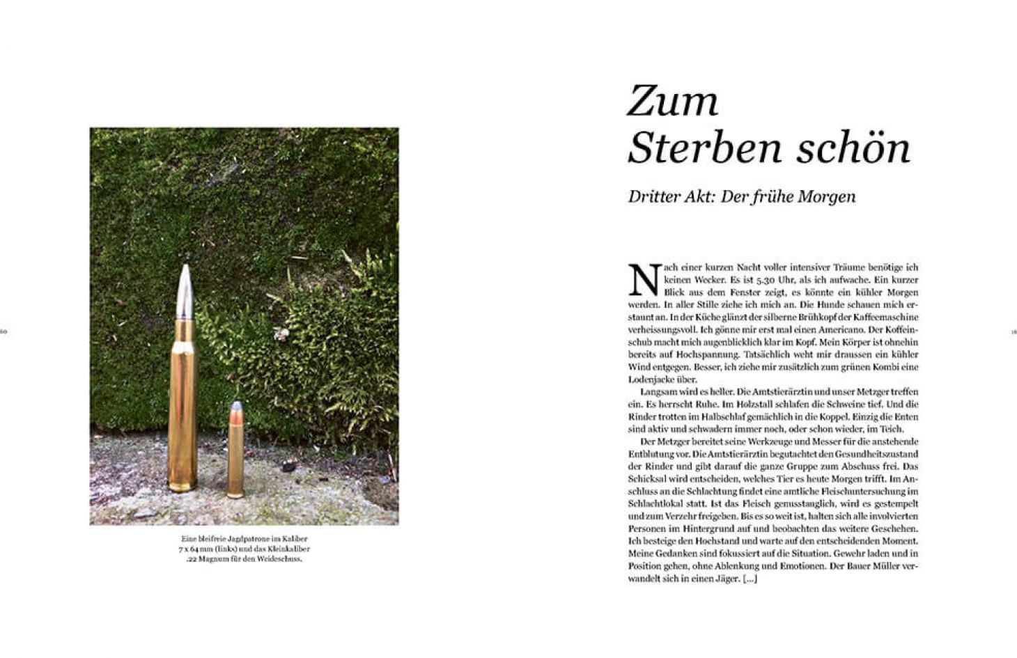 Buch "Zum Sterben schön" Bild 10