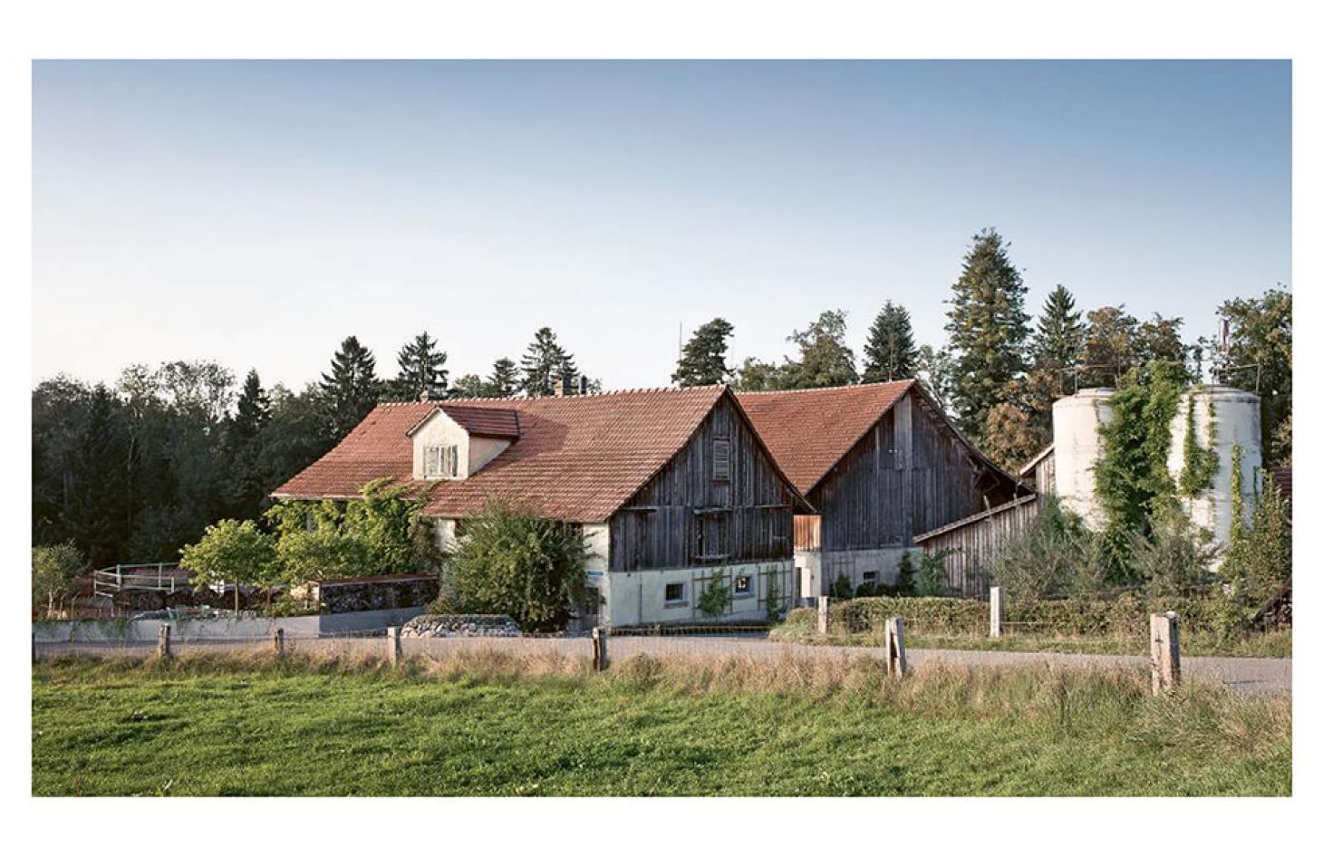 Buch "Zum Sterben schön" Bild 4