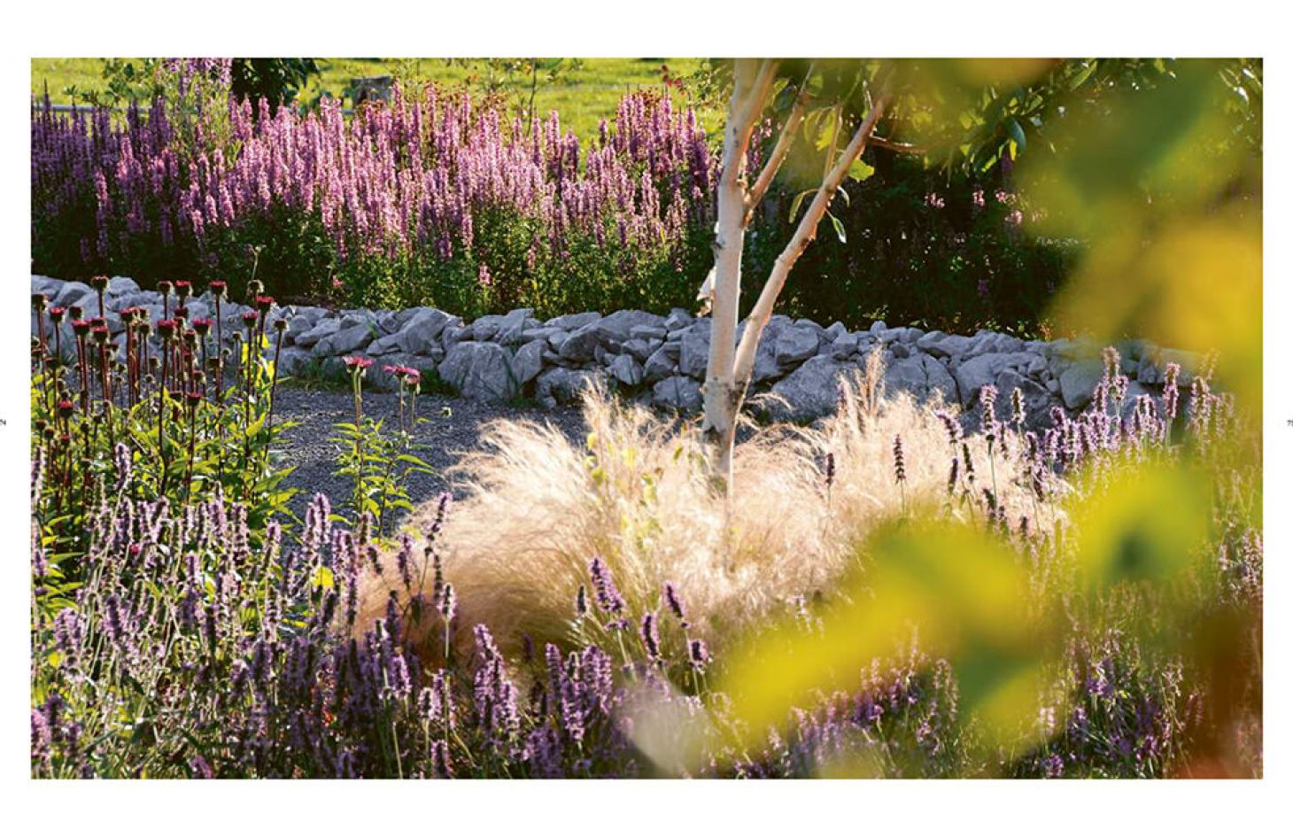 Buch "Zum Sterben schön" Bild 6