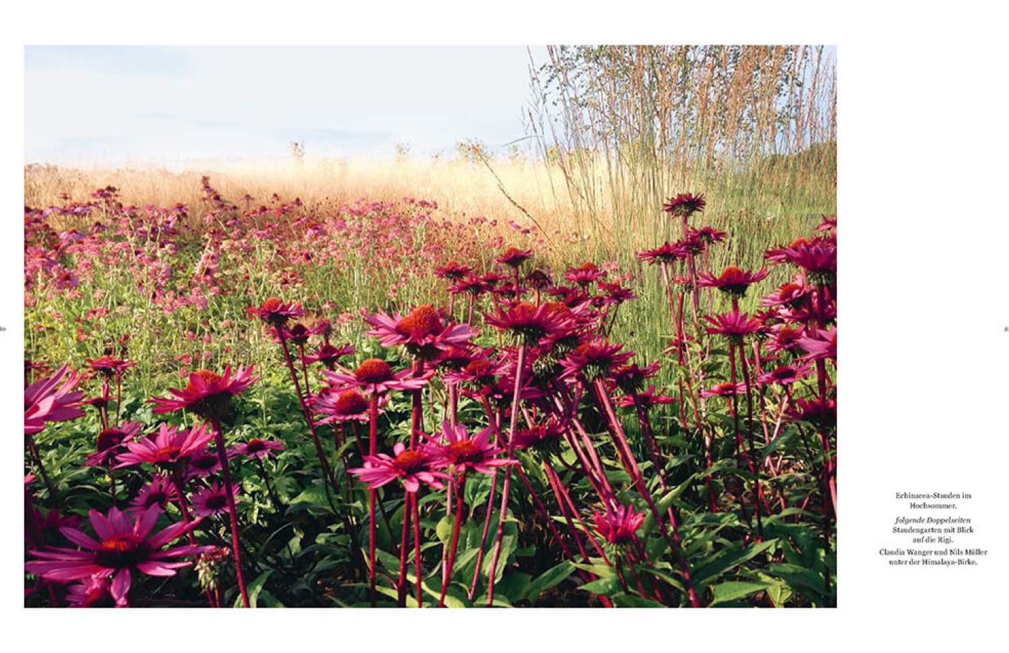 Buch "Zum Sterben schön" Bild 7