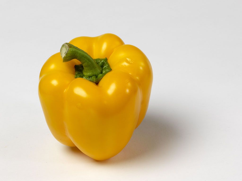 Bildbearbeitung Peperoni, 2009 Bild 1