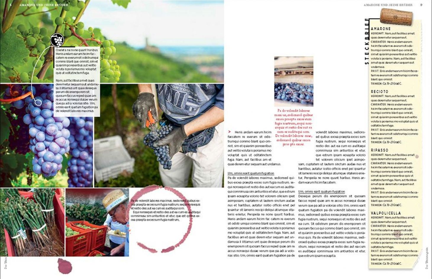 Kundenmagazin (Wettbewerbseingabe) Bild 3