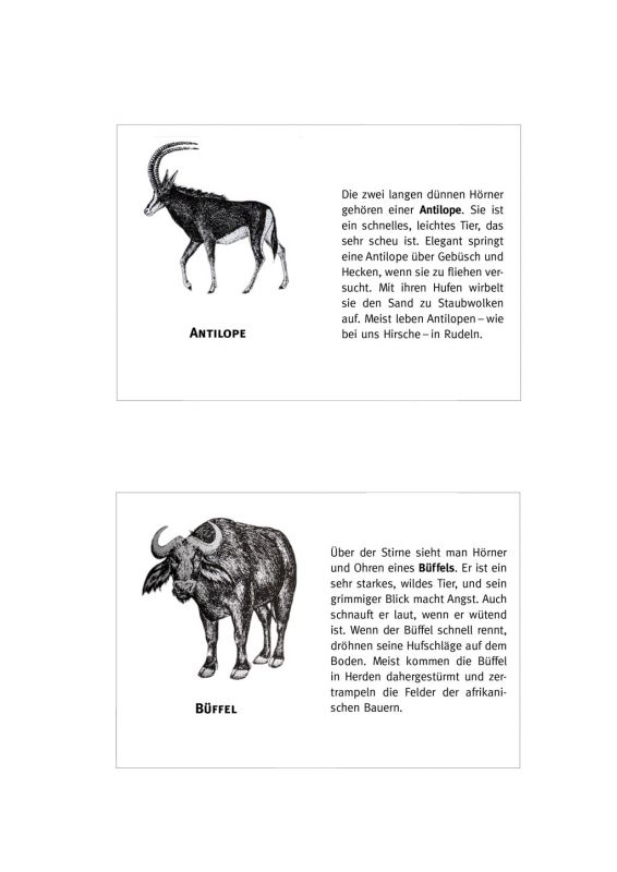 Kunstvermittlung Afrika, 2006 Bild 4