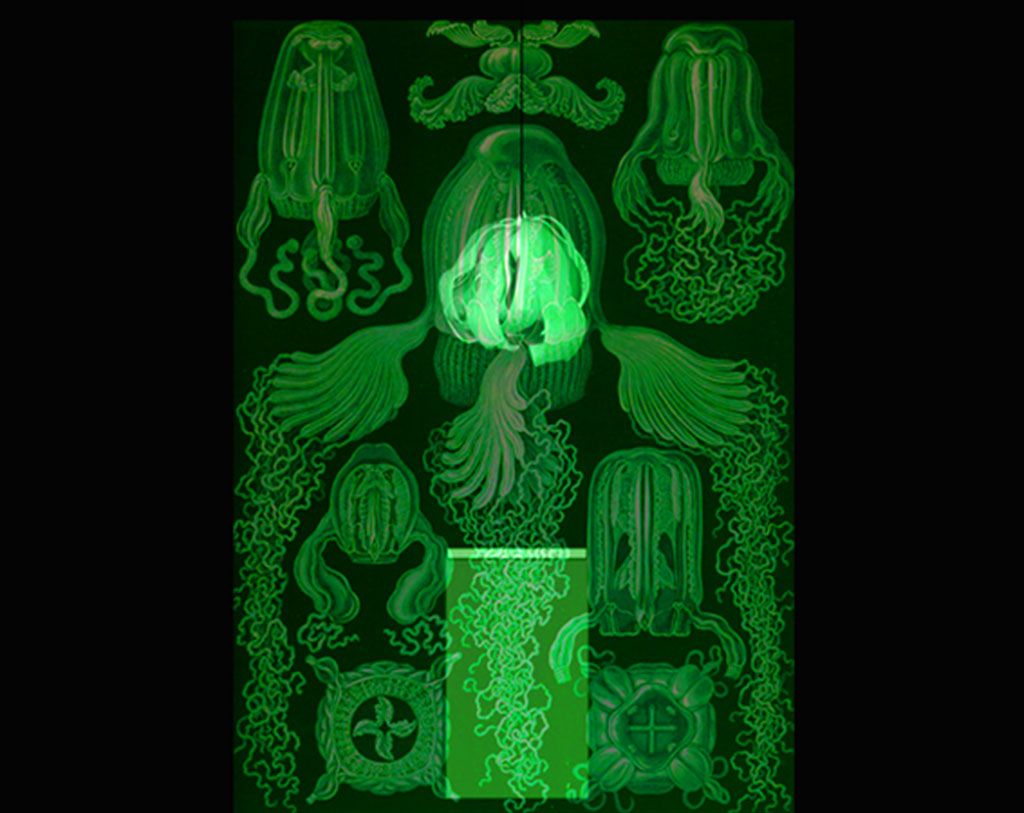 Digitales Ornament, 2004 Bild 1